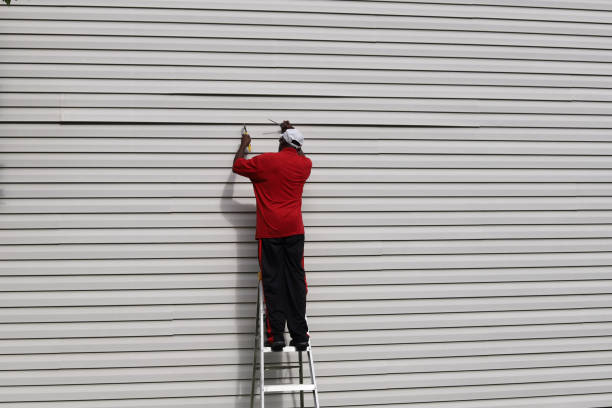 Best Stone Veneer Siding  in Lakewood, CO